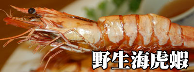海虎蝦
