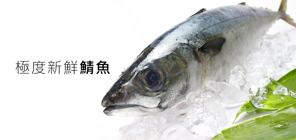 鯖魚